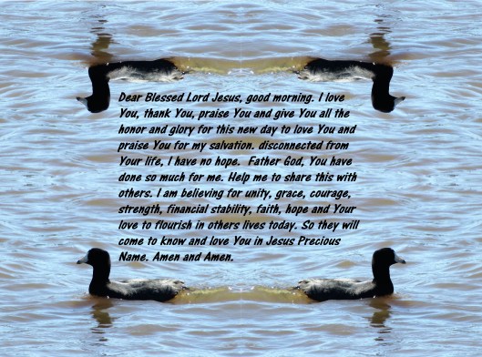 © Photo Artist Susan Ruth Robertson 090025006100 022 - Copy (2) - Copy.JPG