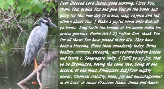 © Photo Artist Susan Ruth Robertson 090025006100 024 - Copy.JPG