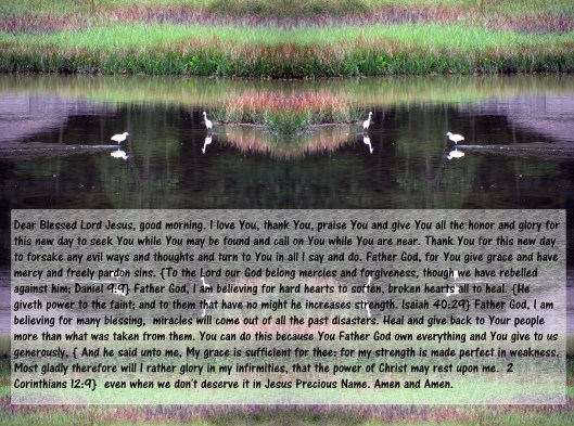 © Photo Artist Susan Ruth Robertson 090025006100 (88) - Copy - Copy.JPG