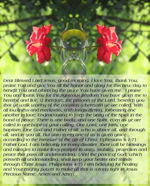 © Photo Artist Susan Ruth Robertson 090025006100 Canon PowerShot SX400 IS 045 - Copy - Copy (2) - Copy - Copy.JPG