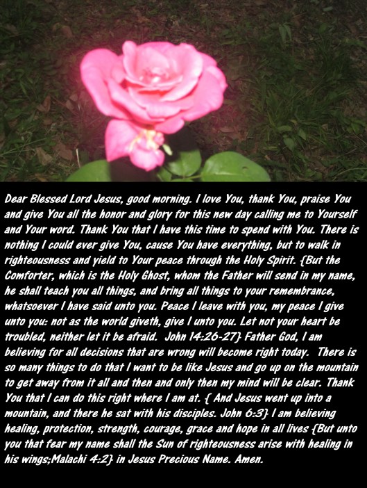 © Photo Artist Susan Ruth Robertson 090025006100 SX 400 IS 006.JPG