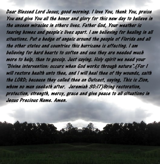 © Photo Artist Susan Ruth Robertson 090025006100 sx400 026 - Copy.JPG