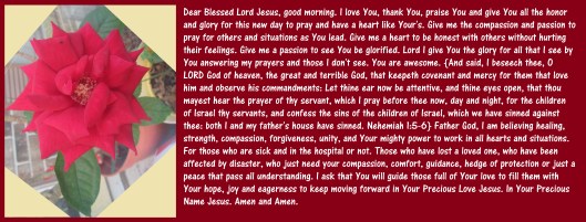 ©Photo Artist Susan Ruth Robertson 090025006100 001.JPG