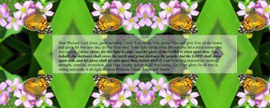 plants etc 009 - Copy.JPG