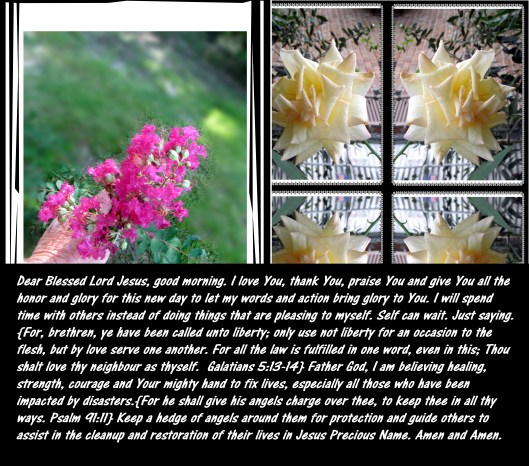 SX260 HS ©Photo Artist Susan Ruth Robertson 090025006100 010 - Copy (2) - Copy.JPG