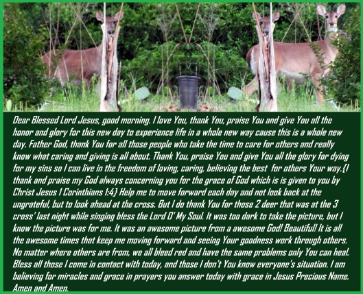 © Photo Artist Susan Ruth Robertson 090025006100 004 - Copy