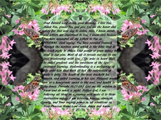 © Photo Artist Susan Ruth Robertson 090025006100 005 - Copy - Copy.jpgw.jpg