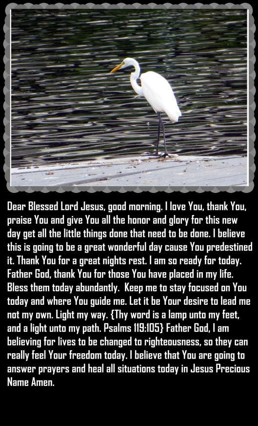 © Photo Artist Susan Ruth Robertson 090025006100 011 - Copy (2).JPG