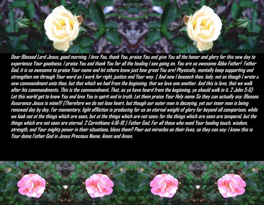 © Photo Artist Susan Ruth Robertson 090025006100 014 - Copy.JPG