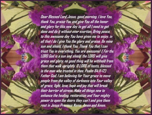 © Photo Artist Susan Ruth Robertson 090025006100 019 - Copy (3).JPG