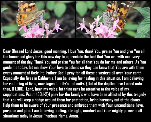 © Photo Artist Susan Ruth Robertson 090025006100 023 - Copy.JPG