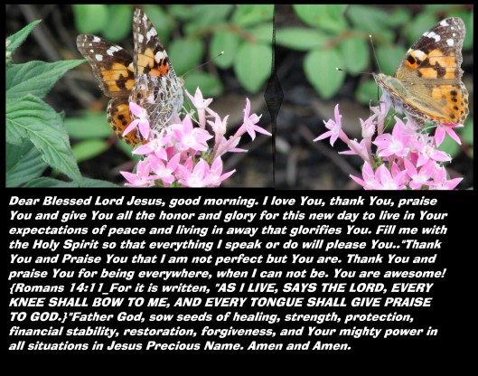 © Photo Artist Susan Ruth Robertson 090025006100 028 - Copy