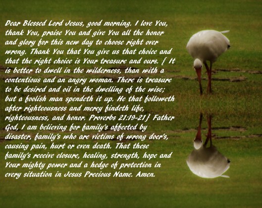 © Photo Artist Susan Ruth Robertson 090025006100 031 - Copy - Copy (2).JPG