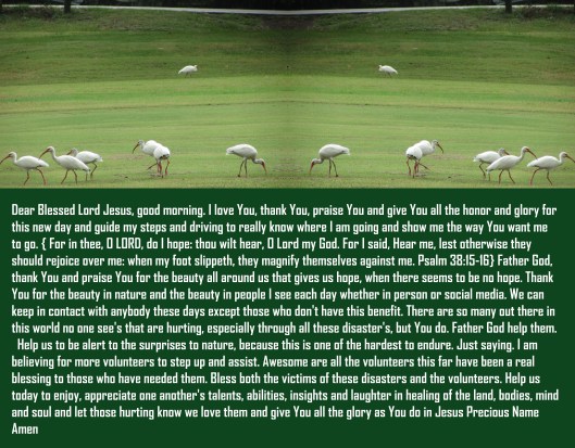 © Photo Artist Susan Ruth Robertson 090025006100 033 - Copy.JPG