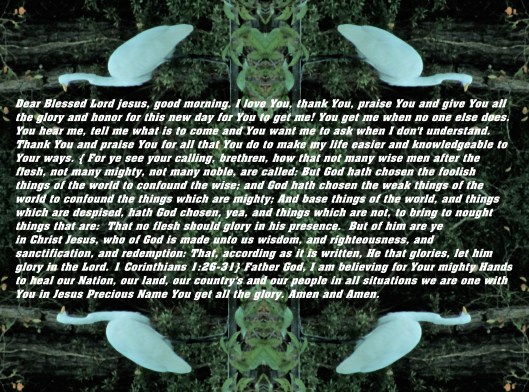 © Photo Artist Susan Ruth Robertson 090025006100 037 - Copy.JPG