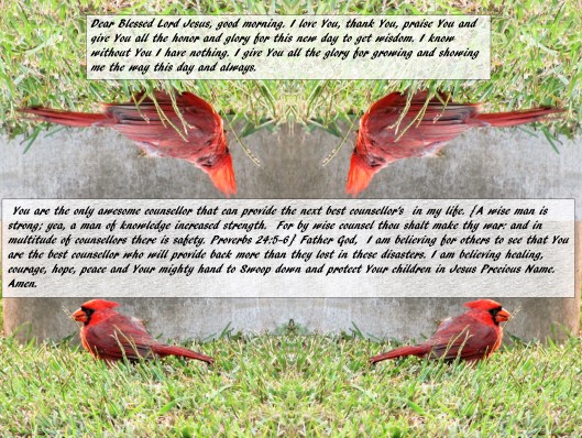 © Photo Artist Susan Ruth Robertson 090025006100 046 - Copy.JPG