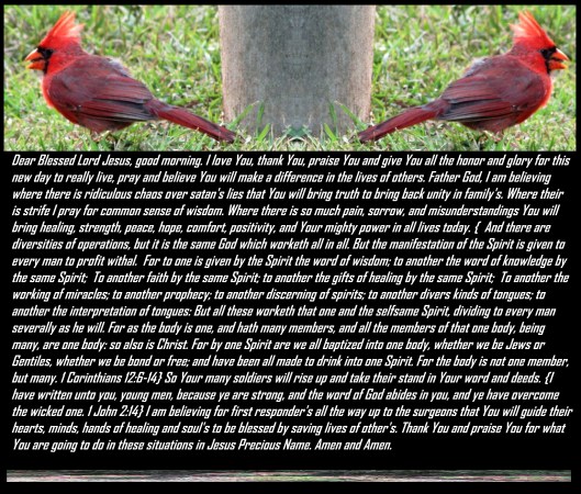 © Photo Artist Susan Ruth Robertson 090025006100 048 - Copy.JPG