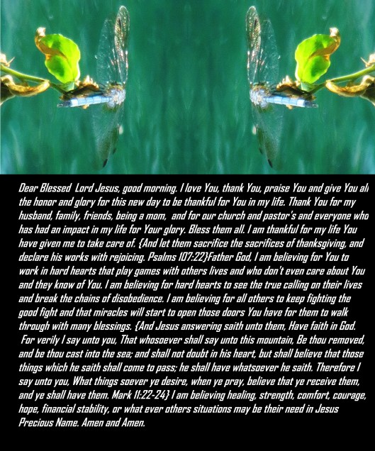 © Photo Artist Susan Ruth Robertson 090025006100 064 - Copy - Copy (2).JPG