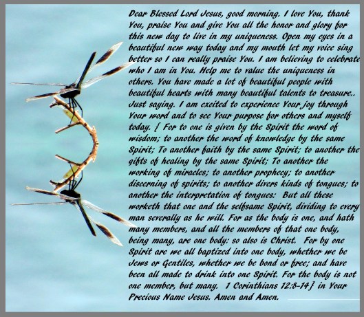 © Photo Artist Susan Ruth Robertson 090025006100 068 - Copy (2).JPG