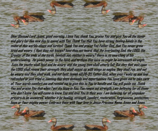 © Photo Artist Susan Ruth Robertson 090025006100 131 - Copy - Copy.JPG