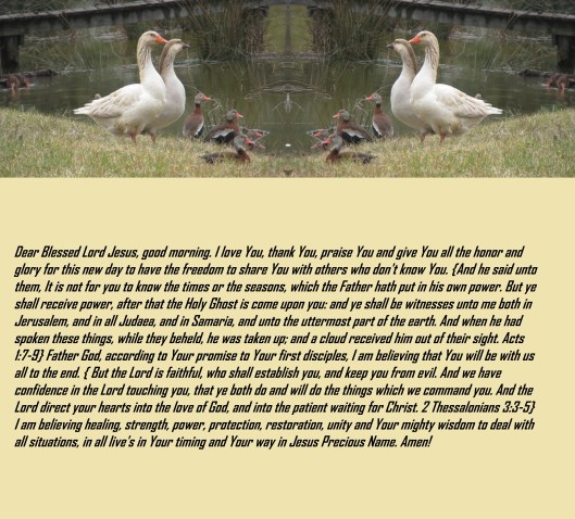 © Photo Artist Susan Ruth Robertson 090025006100 283 - Copy.JPG