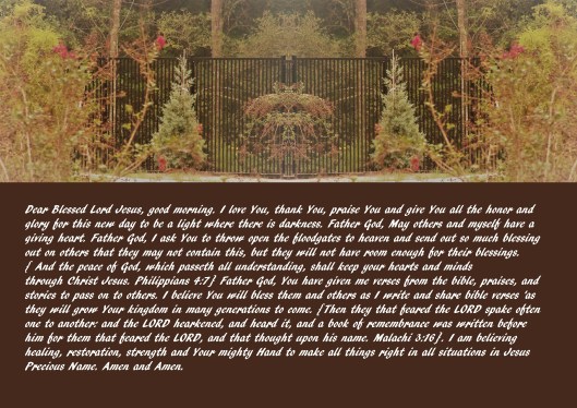 © Photo Artist Susan Ruth Robertson 090025006100 (4) - Copy.JPG