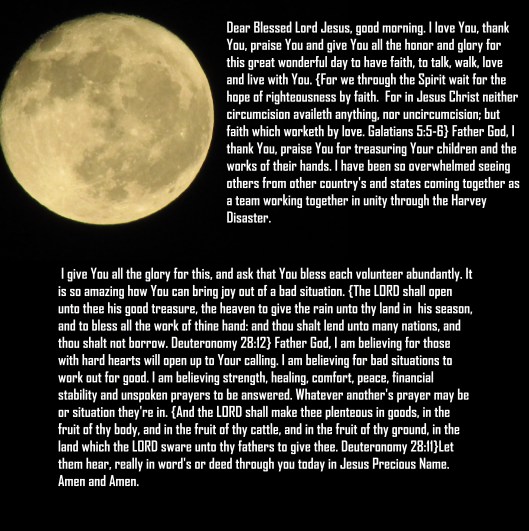 © Photo Artist Susan Ruth Robertson 090025006100 SX 400 IS 013.JPG