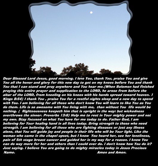 ©Photo Artist Susan Ruth Robertson 090025006100 009 - Copy (3).JPG