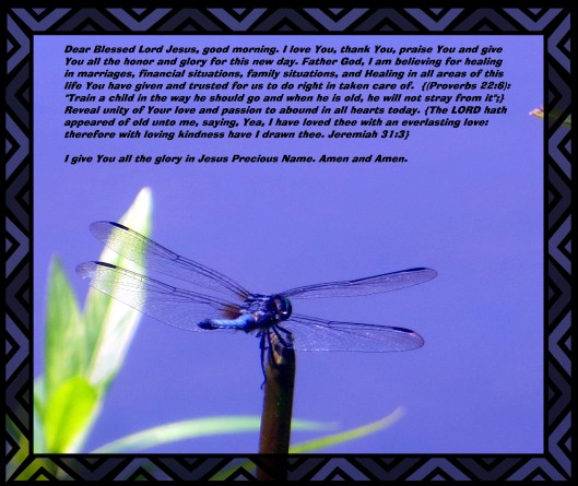 © Photo Artist Susan Ruth Robertson 090-025006100 038