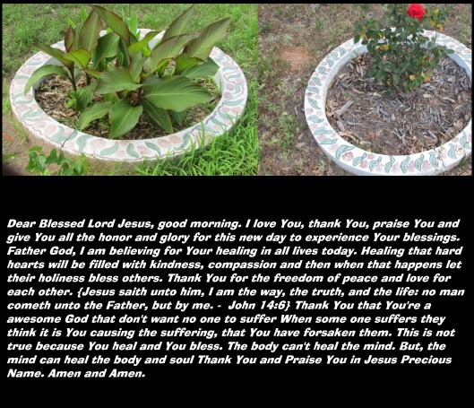 © Photo Artist Susan ruth Robertson 09002500100 011 - Copy.JPG