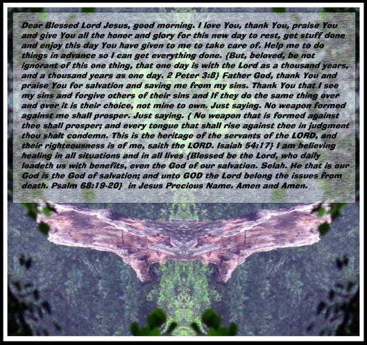 © Photo Artist Susan Ruth Robertson 090025006100 001 - Copy (2).JPG