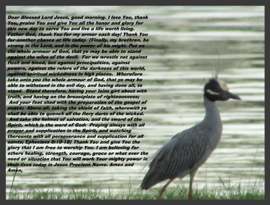 © Photo Artist Susan Ruth Robertson 090025006100 016 - Copy