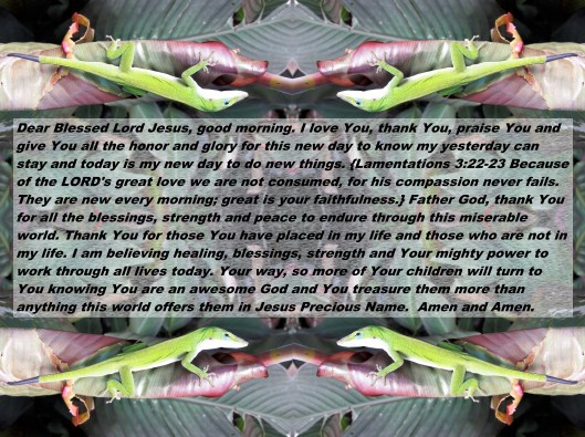 © Photo Artist Susan Ruth Robertson 090025006100 036 - Copy.JPG