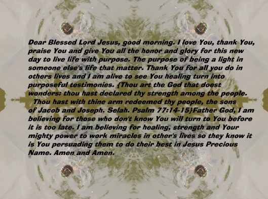 © Photo Artist Susan Ruth Robertson 090025006100 063 - Copy.JPG