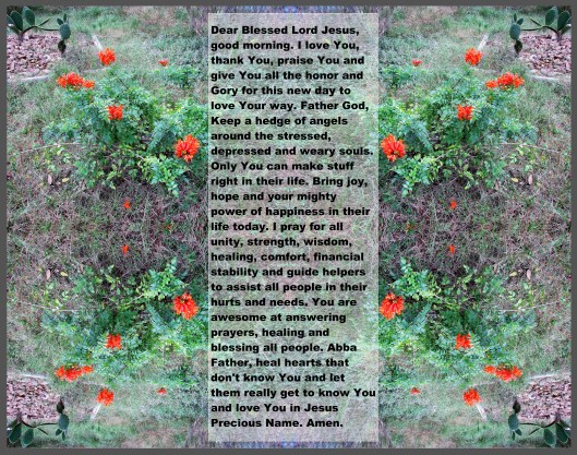 © Photo Artist Susan Ruth Robertson 090025006100 068 - Copy.JPG