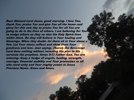 © Photo Artist Susan Ruth Robertson 090025006100 139 - Copy (2).JPG