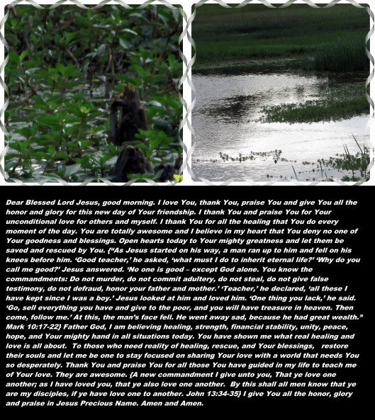 © Photo Artist Susan Ruth Robertson 090025006100 002.JPG