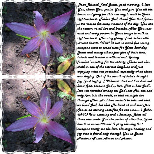 © Photo Artist Susan Ruth Robertson 090025006100 005 - Copy.JPG