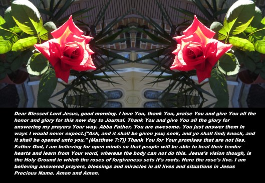 © Photo Artist Susan Ruth Robertson 090025006100 018 - Copy (2).JPG