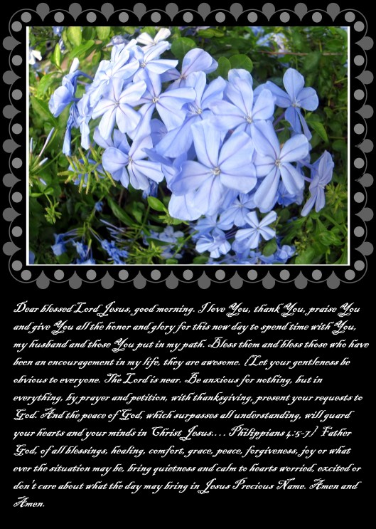 © Photo Artist Susan Ruth Robertson 090025006100 026 - Copy (2).JPG