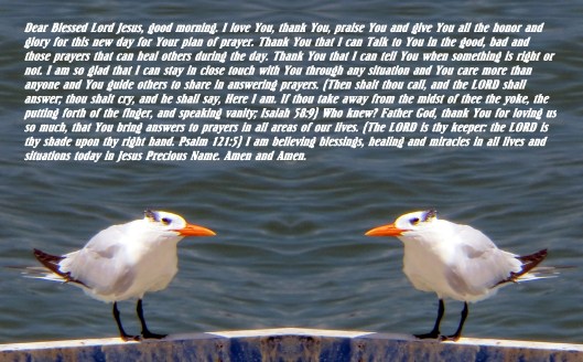 © Photo Artist Susan Ruth Robertson 090025006100 026 - Copy.JPG