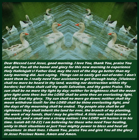 © Photo Artist Susan Ruth Robertson 090025006100 031 - Copy.JPG