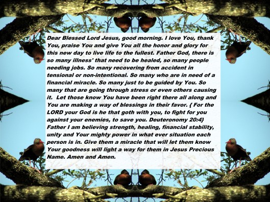 © Photo Artist Susan Ruth Robertson 090025006100 037 - Copy - Copy - Copy.JPG