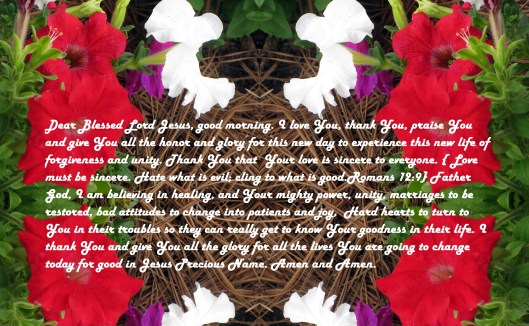 © Photo Artist Susan Ruth Robertson 090025006100 052 - Copy.JPG