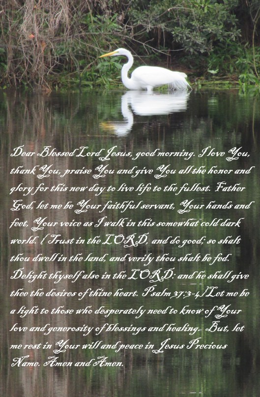 © Photo Artist Susan Ruth Robertson 090025006100 098 - Copy.JPG