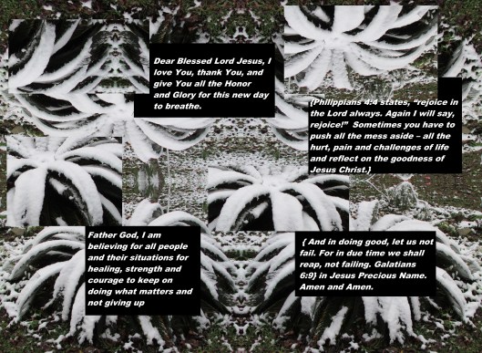 © Photo Artist Susan Ruth Robertson 090025006100 123 - Copy.JPG
