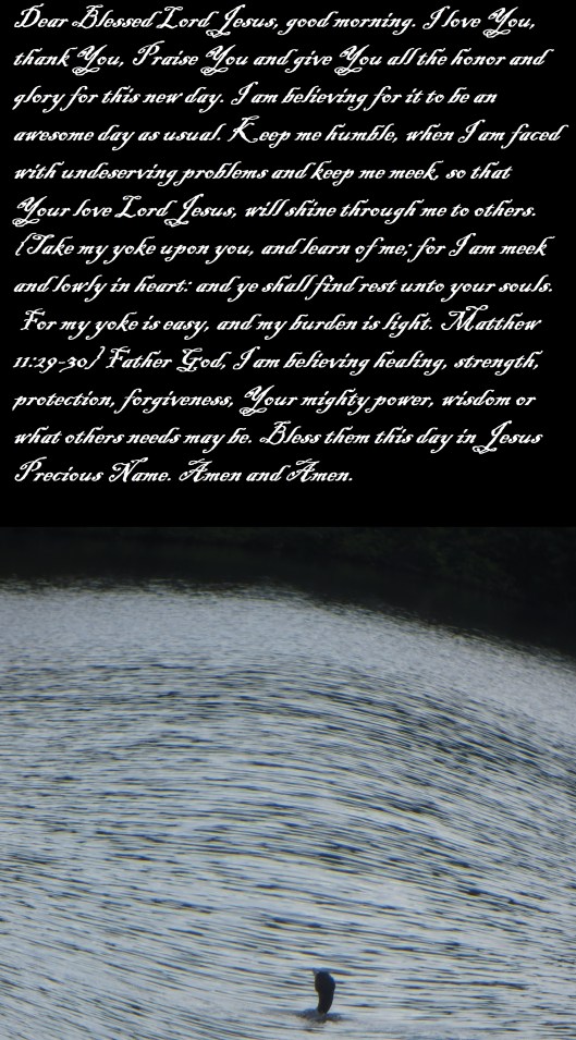 © Photo Artist Susan Ruth Robertson 090025006100 127 - Copy.JPG