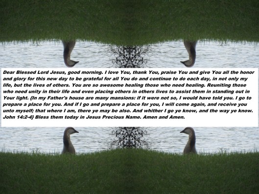 © Photo Artist Susan Ruth Robertson 090025006100 130 - Copy.JPG