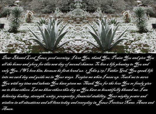 © Photo Artist Susan Ruth Robertson 090025006100 293 - Copy.JPG