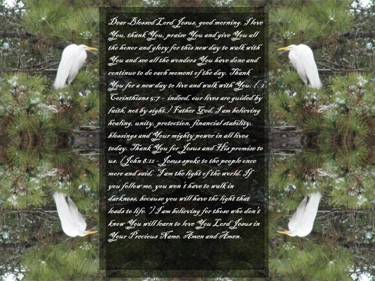 © Photo Artist Susan Ruth Robertson 090025006100 375 - Copy.JPG